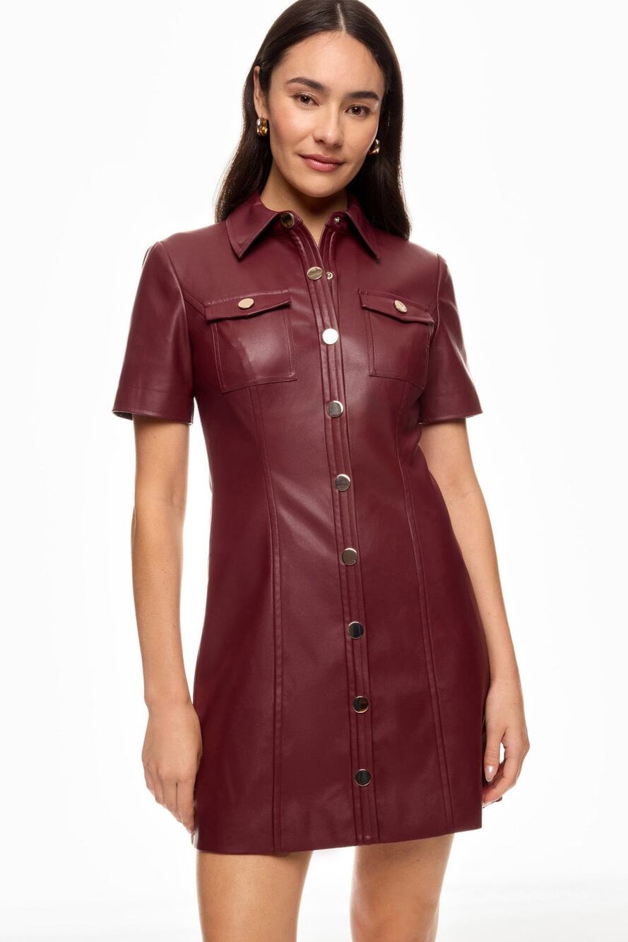 Toccin Faux Leather Short Sleeve Dress - Size 6